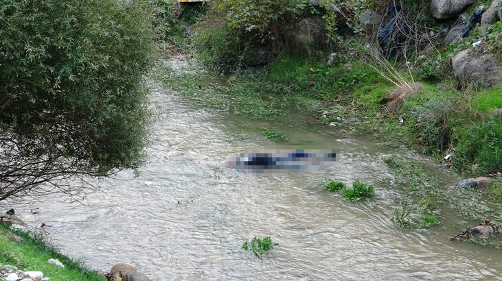 Derede erkek cesedi bulundu