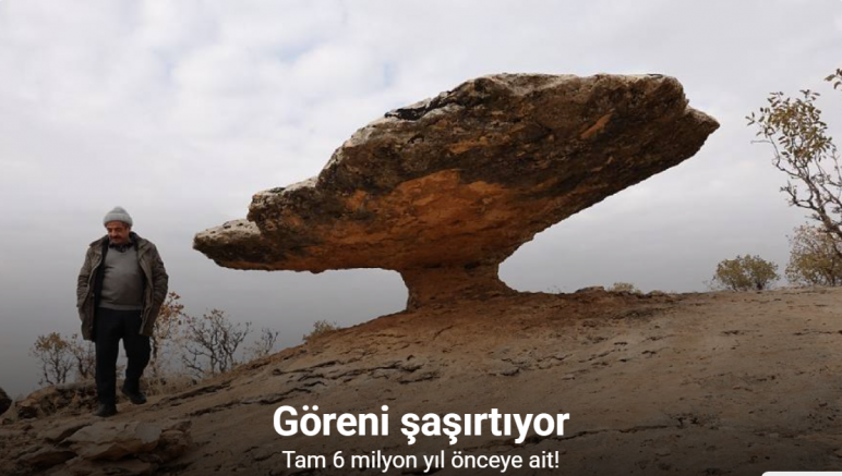 Diyarbakır’da buzul çağ kalıntısı: Tam 6 milyon yıl önceye ait