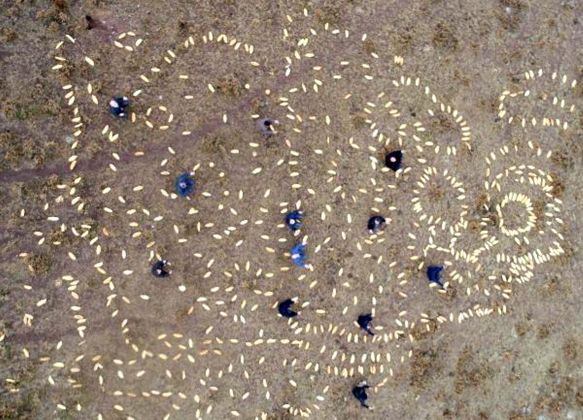 Doğaya yine 2001 ekmek bıraktılar