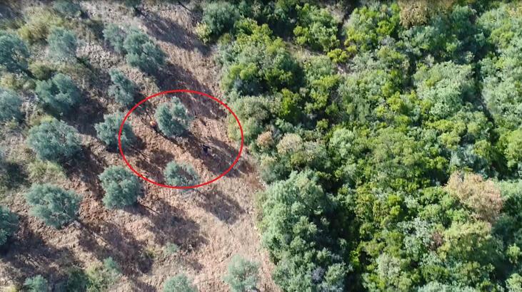 Drone'la yakalandılar! Göz açtırılmıyor, 2 kişi ormanda...