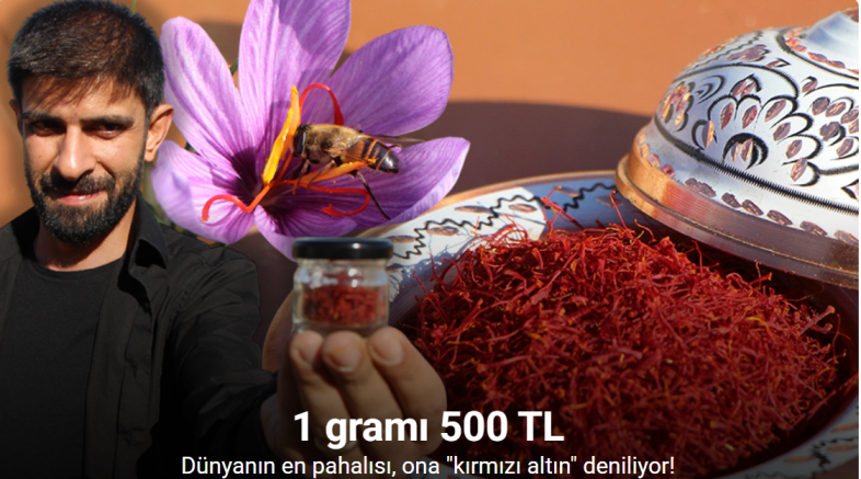 Dünyanın en pahalı baharatı safranın 1 gramı 500 TL