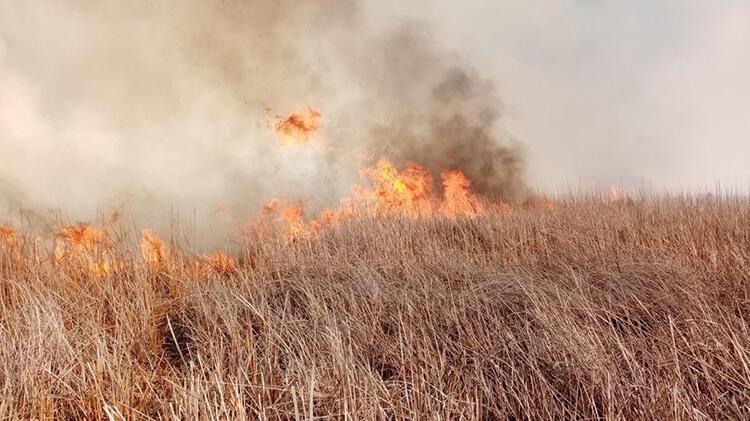 Eber Gölü çevresindeki sazlık alanda yangın çıktı