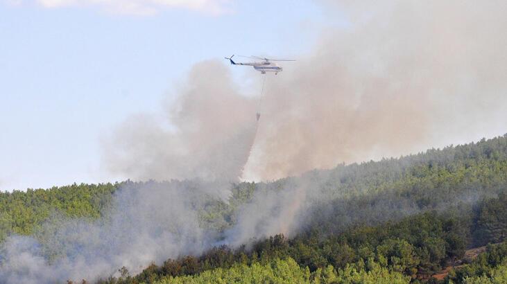 Edirne'de orman yangını! 4 kişi aranıyor