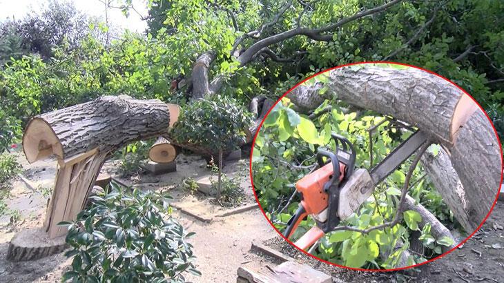 Edirnekapı Şehitliği'nde tepki çeken görüntü! 'Testereyi bırakıp kaçtılar'