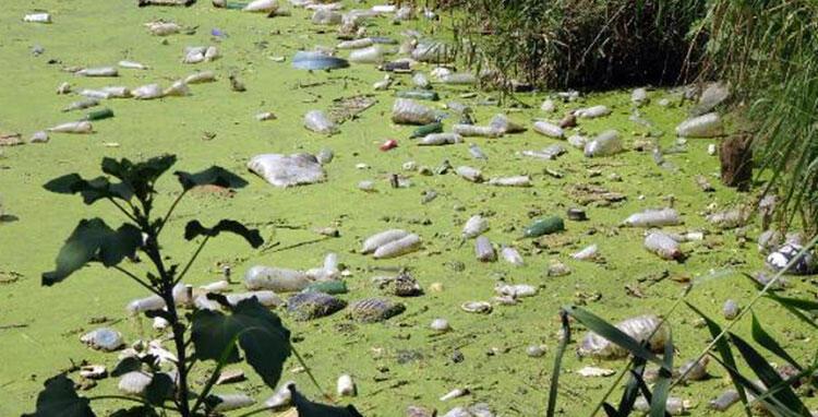 Edirne'nin Bayır Deresi kirlilikten yeşile büründü