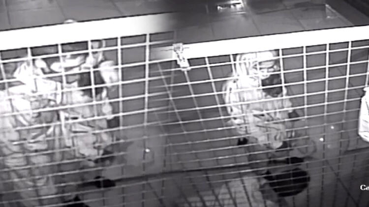 Eğlenmek için çalmış!