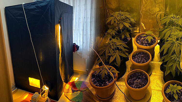 Ekipler şaşkına döndü! Odaya sera kurup uyuşturucu yetiştirdi