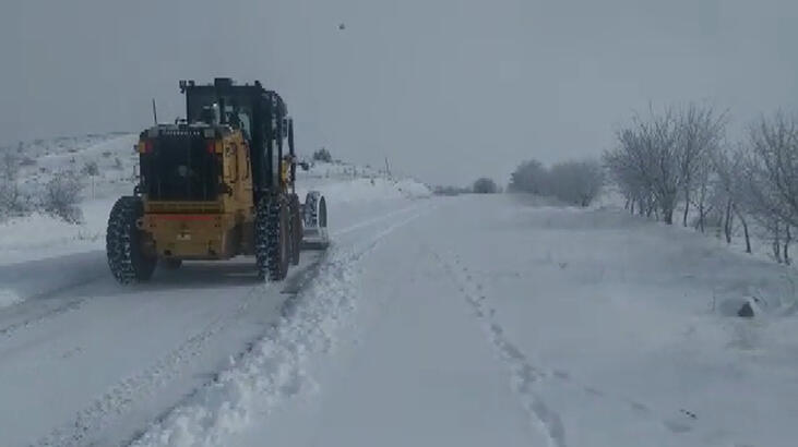 Elazığ'da 441 köy yolu kardan kapandı