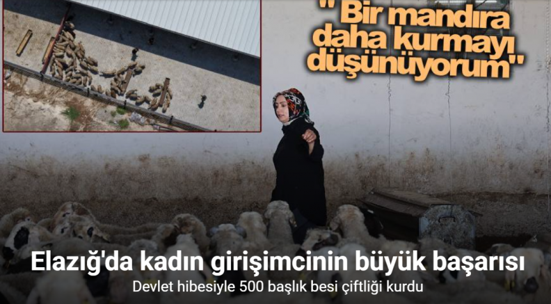 Elazığlı kadın girişimci devlet desteğiyle çiftlik kurdu