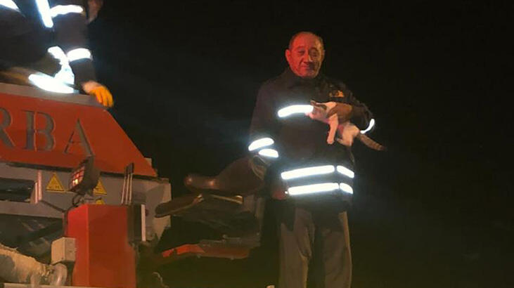 Elektrik direğinde mahsur kalan kedinin imdadına itfaiye koştu