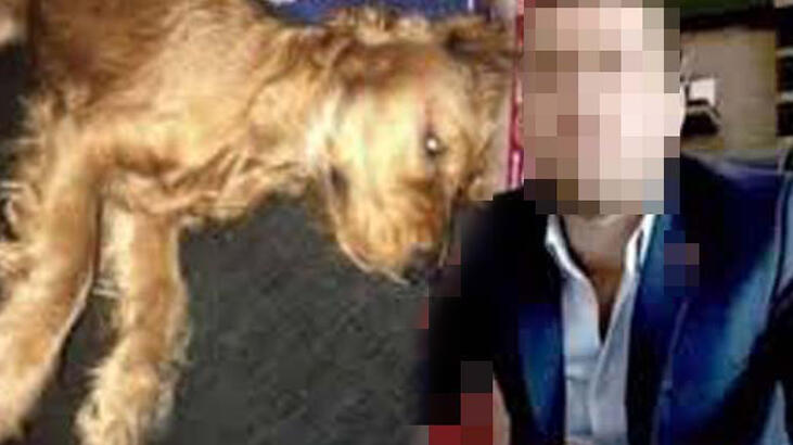 Emanet edilen köpeğe cinsel istismar iddiasında iddianame düzenlendi