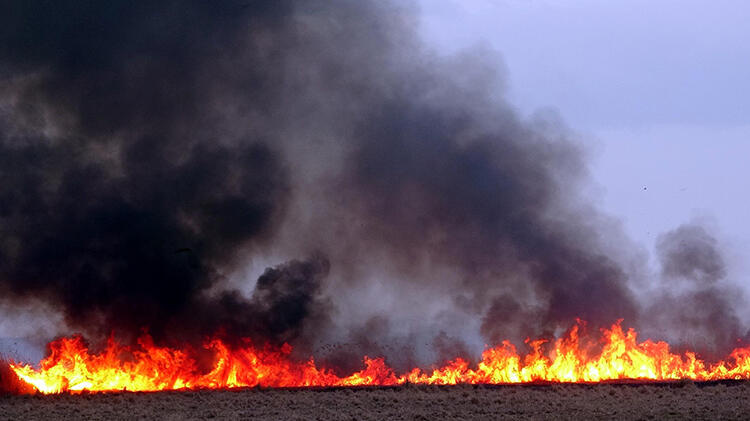 Erciş'te korku dolu anlar! 2 saatte söndürüldü