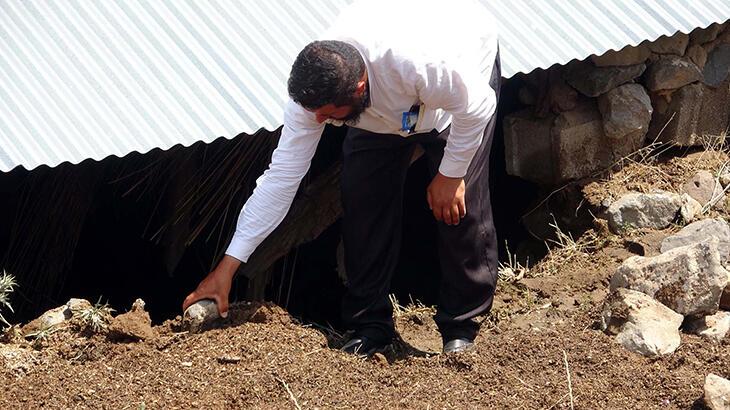 Erciş'teki taşkında hayvanlar öldü, meyve ağaçları zarar gördü