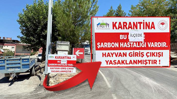 Eruh'ta bir hayvanda şarbon görüldü! İlçeye hayvan giriş ve çıkışı yasaklandı