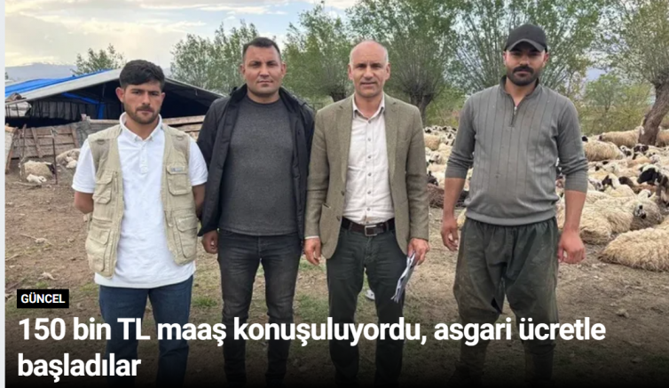 Erzincan’da hayvancılık sektöründe yaşanan çoban açığı için Afganistan’dan iş gücü getirildi; ilk çalışanlar asgari ücretle göreve başladı.