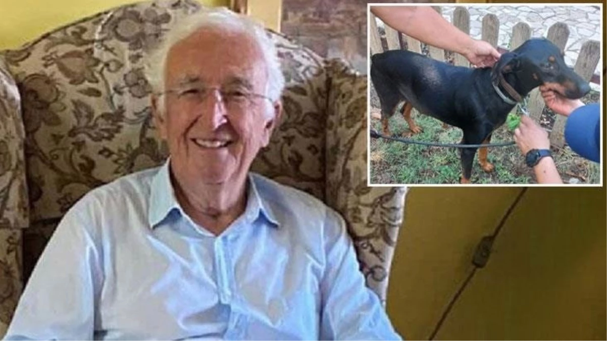 Esrarengiz bir şekilde ortadan kaybolan ekonomist Korhan Berzeg'in köpeği 