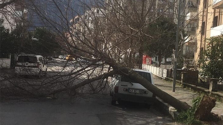Fırtına İzmir'i vurdu! Ortalık savaş alanına döndü