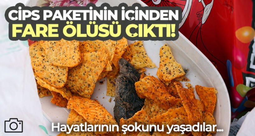 FLAŞ HABER Doğum günü kutlayacaklardı, cips paketinin içinden fare ölüsü çıkınca şoke oldular