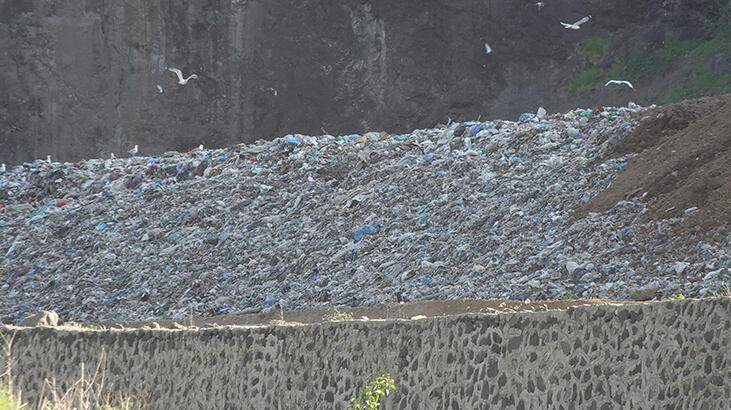 Giresun'da sızıntı tespit edilen çöp tesisine durdurma