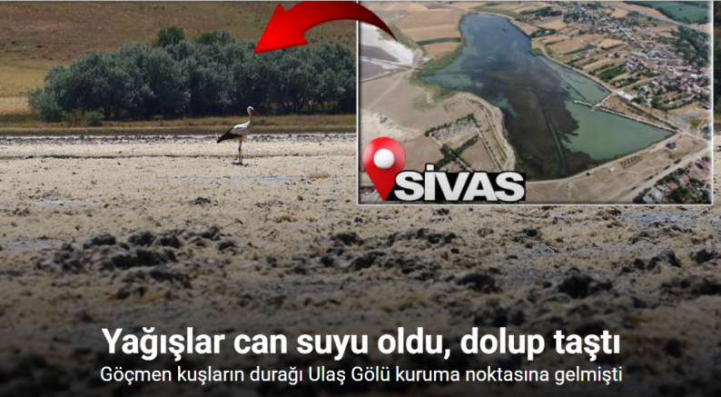 Göçmen kuşların durağı kuruma noktasına gelmişti, şimdi ise dolup taştı