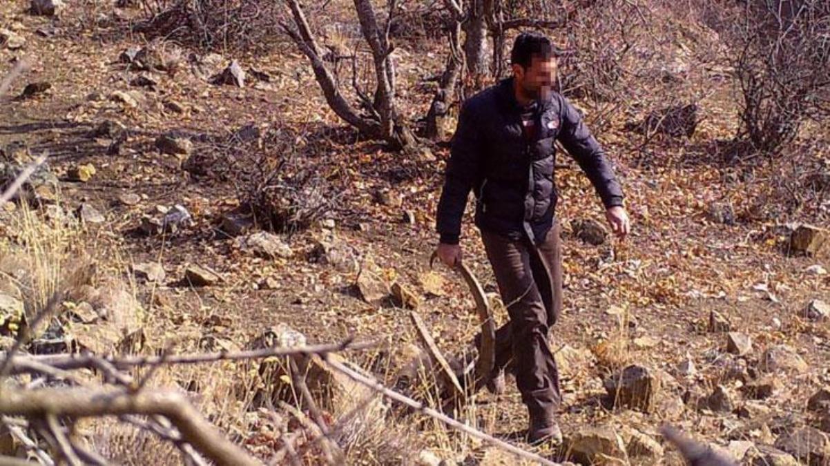 Görüntü Erzincan'dan! Elinde tuttuğu boynuzun bedelini ağır ödedi