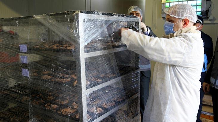 Görüntüler çok konuşulmuştu! İmha edildi