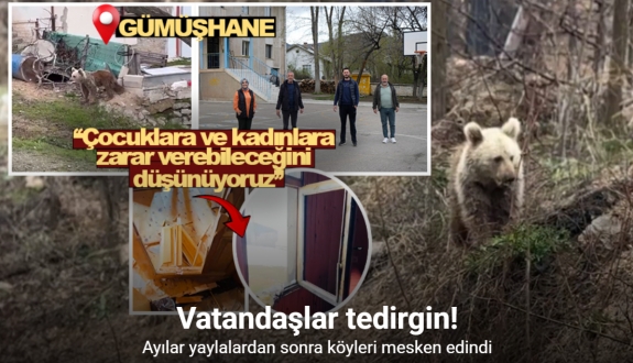 Gümüşhane’de ayılar yaylalardan sonra köyleri mesken edindi: Vatandaşlar tedirgin