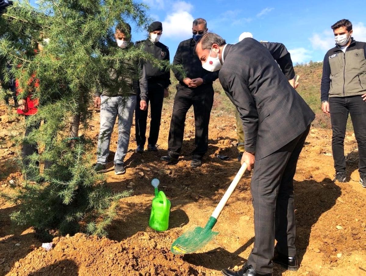 Gürsu'da fidanlar toprakla buluştu