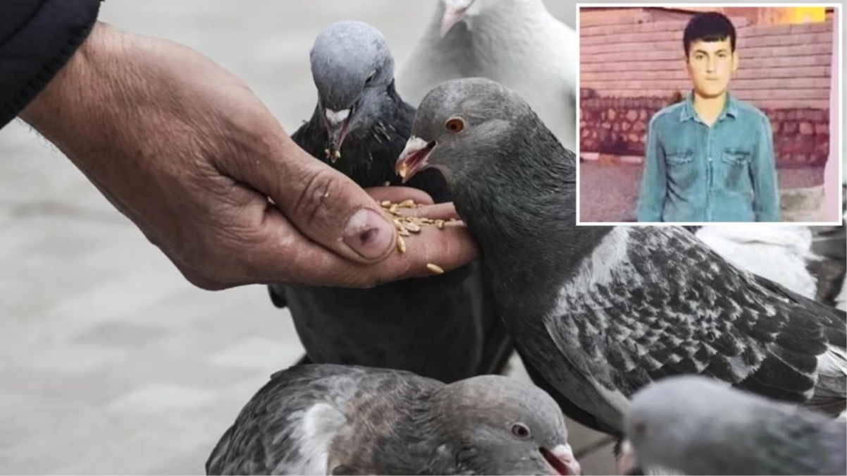 Güvercin kavgasında başına parke ile vurulan genç hayatını kaybetti