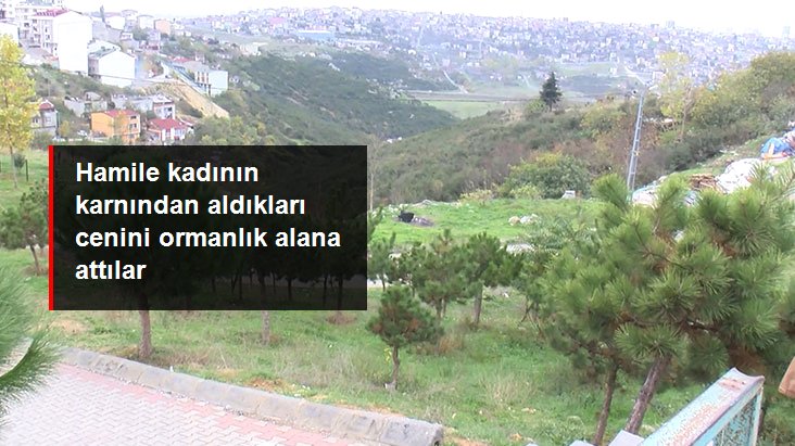 Hamile kadının karnından aldıkları cenini ormanlık alana attılar