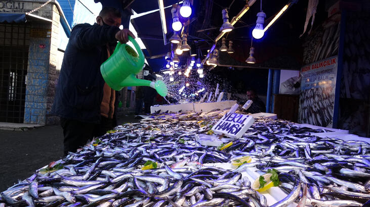 Hamsi sürüleri kuzeye yöneldi