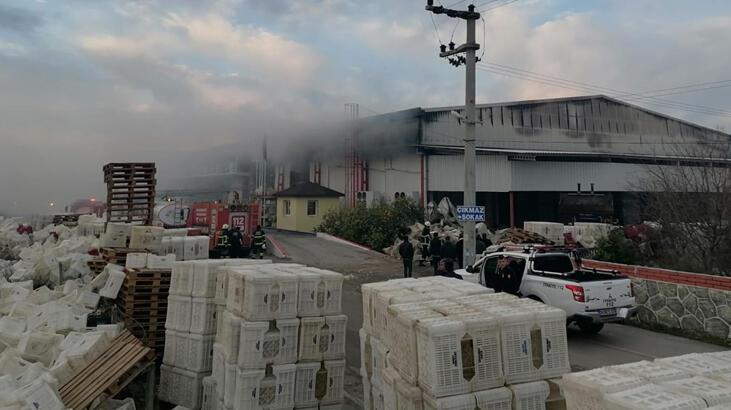 Hatay’da soğuk hava deposunda yangın