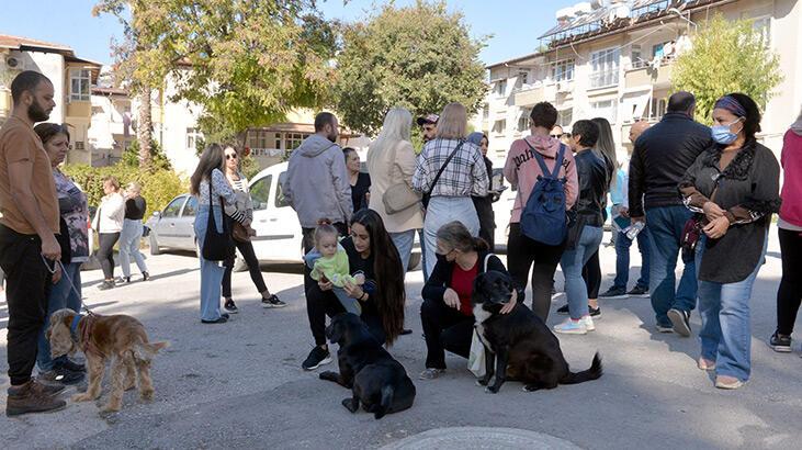 Hatay’da sokak hayvanlarının zehirlendiği iddiasına soruşturma