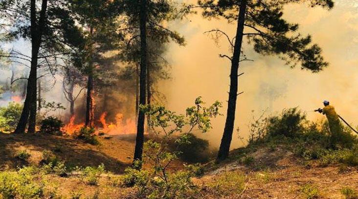 Hatay’daki orman yangınına 1 tutuklama