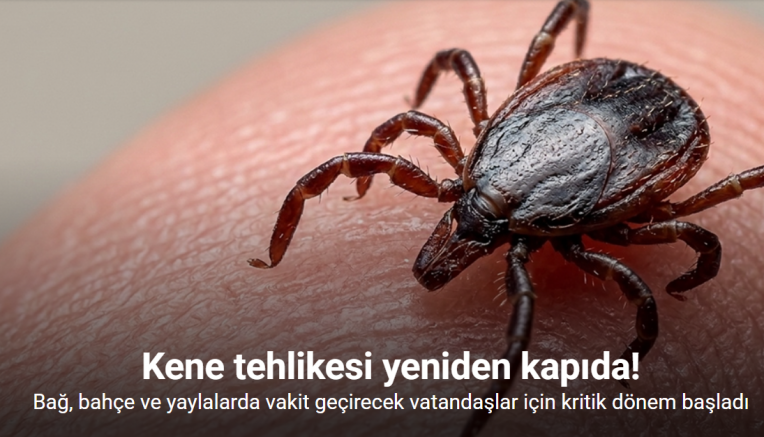 Havalar ısındı, kene tehlikesi yeniden kapıda