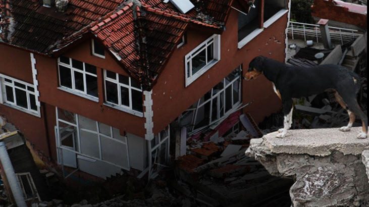 Hayalet köy! '2 metreyi bulunca, panik başladı'