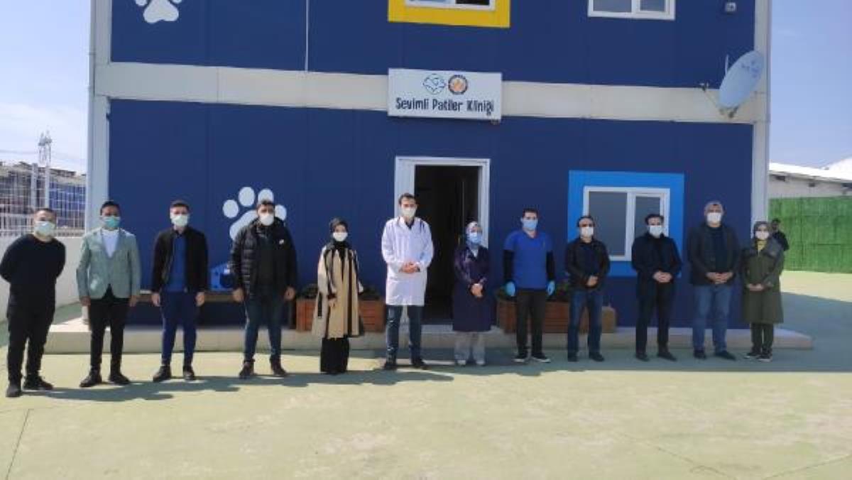 Hayvan sahiplenenlere 'mama ve aşı desteği