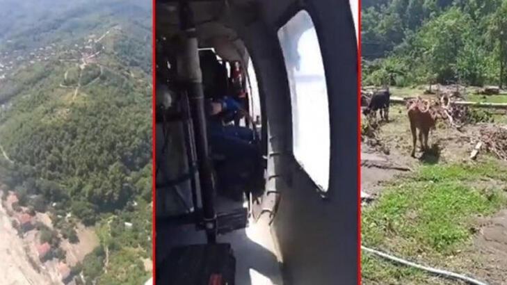 Hayvanları selde mahsur kalmıştı! Helikopter ile kurtarıldı