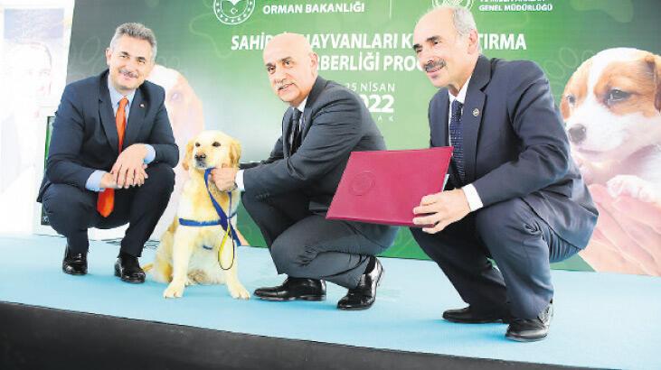 Hedef 2 milyon sahipsiz hayvanı kısırlaştırmak