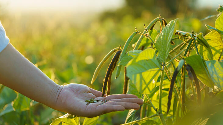 HEKTAŞ’tan Agriventis ve Arma İlaç’ı satın alma kararı