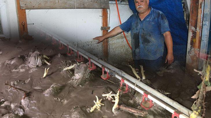 Hepsi öldü! 'Böylesini yaşamadım, görmedim'