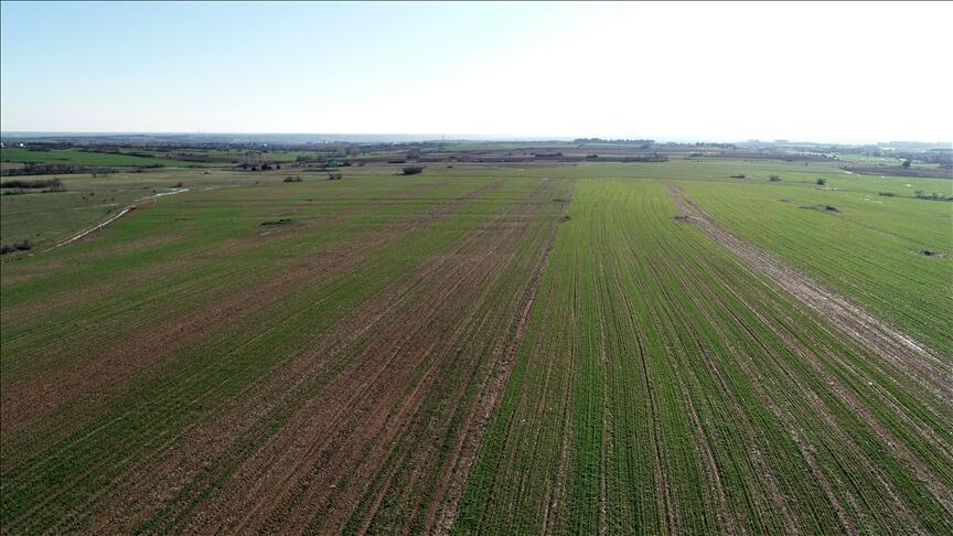 İcradan satılık tarla!