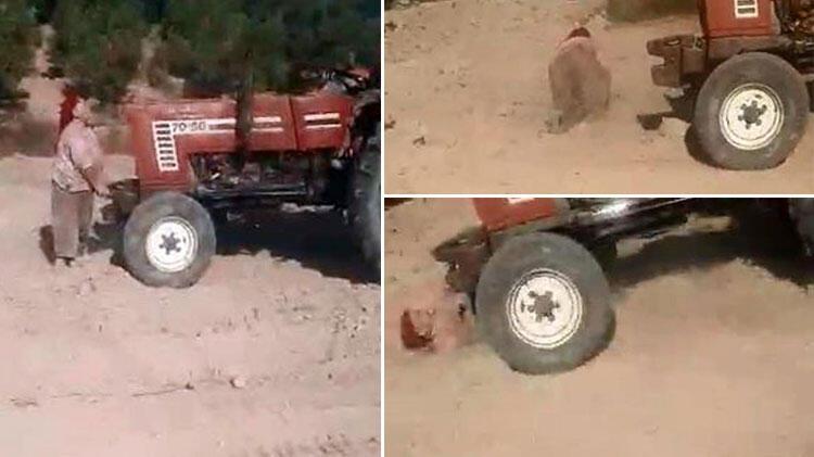İki kardeş traktör ile ablalarını ezmeye çalıştı