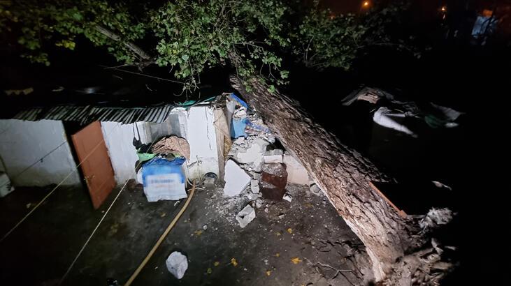 İki müstakil evin üzerine devrildi