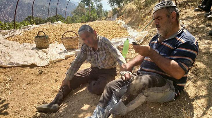 İncirlerini çalarken yakaladı, kolundan tutup jandarmaya teslim etti