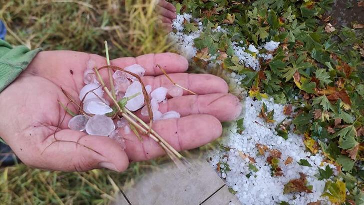 İpsala’da dolu, 13 bin dönüm çeltik arazisine zarar verdi