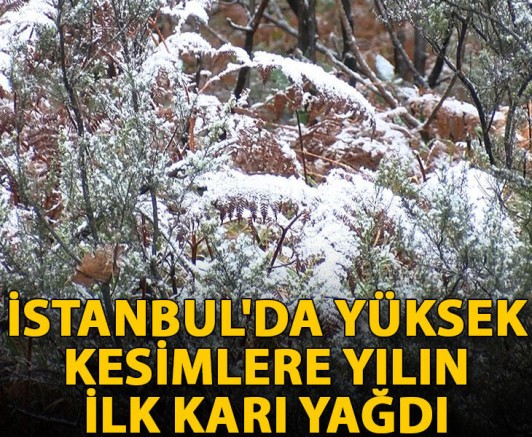 İstanbul'da yüksek kesimlere yılın ilk karı yağdı