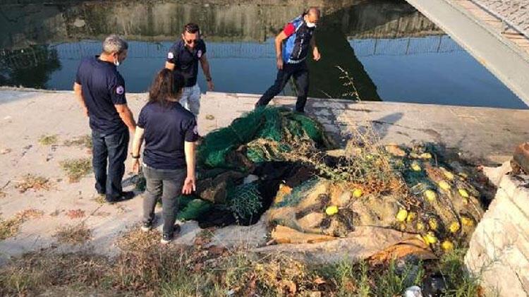 İstanbul'da kaçak midye avcılarına operasyon