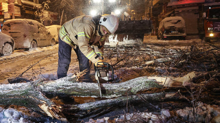 İstanbul'da kar yağışı nedeniyle bazı bölgelerde ağaçlar devrildi