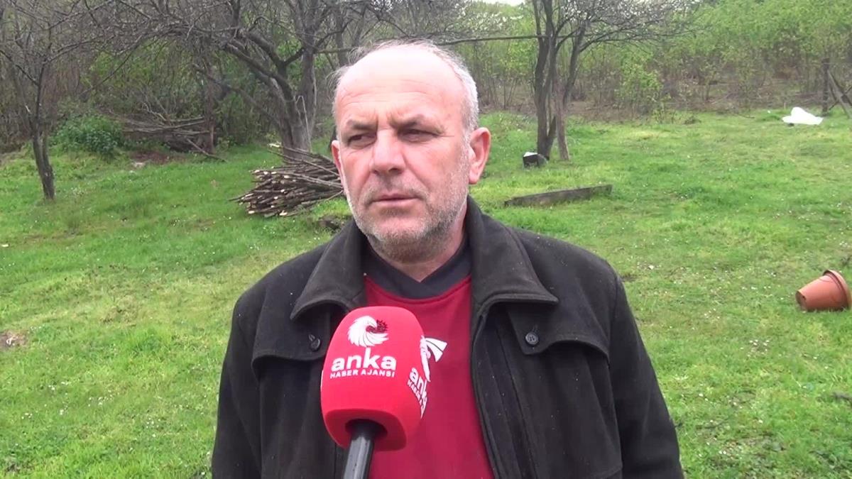 İstanbul'dan Gelip, Sinop'a Yerleşen Besici: 